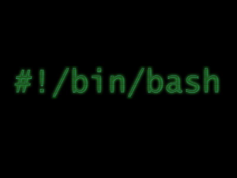 Bash for loops