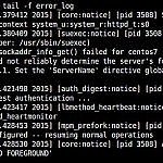 linux shell argument list too long rsync or cp