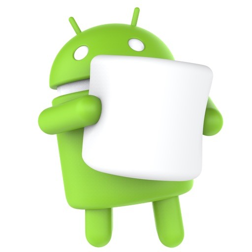 Android Marshmallow IS the official name for Android 6.0