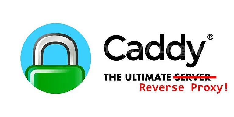 Install Caddy reverse proxy via Docker
